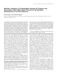 Modular Transport of Postsynaptic Density-95 Clusters and Association with Stable Spine Precursors During Early Development of Cortical Neurons