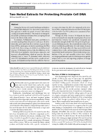 PDF Created by Lee Dixson, Art Director, Innovision