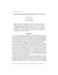 The Stomatopod Crustacea of Guam
