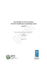 General Plan for East Jerusalem: the State of Public Spaces and Future Needs