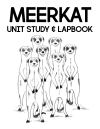 Meerkat Unit Study and Lapbook Lessons