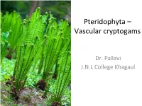 Pteridophyta – Vascular Cryptogams