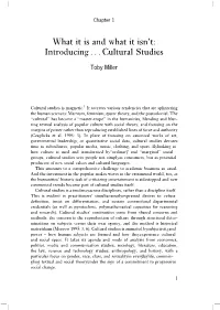 What It Is and What It Isn't: Introducing . . . Cultural Studies
