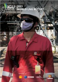 2021 World Lng Report