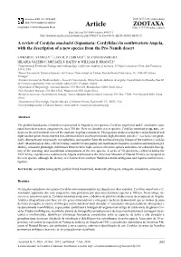 A Review of Cordylus Machadoi (Squamata: Cordylidae) in Southwestern Angola, with the Description of a New Species from the Pro-Namib Desert