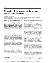 Noncoding RNA Control of the Making and Breaking of Sugars