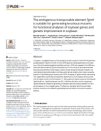 The Endogenous Transposable Element Tgm9 Is Suitable for Generating Knockout Mutants for Functional Analyses of Soybean Genes and Genetic Improvement in Soybean