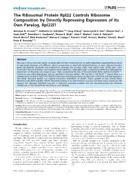 The Ribosomal Protein Rpl22 Controls Ribosome Composition by Directly Repressing Expression of Its Own Paralog, Rpl22l1