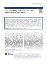 Functions and Mechanisms in Colon Cancer Sian Chen and Xian Shen*