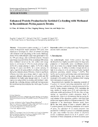 Enhanced Protein Production by Sorbitol Co-Feeding with Methanol in Recombinant Pichia Pastoris Strains