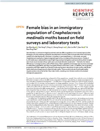 Female Bias in an Immigratory Population of Cnaphalocrocis