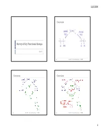 Survey of Key Functional Groups Overview Overview Overview