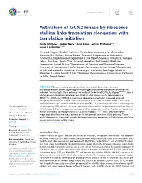 Activation of GCN2 Kinase by Ribosome Stalling Links Translation Elongation with Translation Initiation
