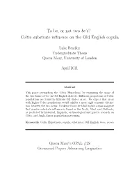 Celtic Substrate Influence on the Old English Copula