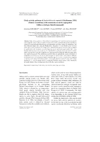 Daily Activity Patterns of Australolacerta Rupicola (Fitzsimons, 1933) (Sauria: Lacertidae) with Comments on Niche Segregation Within a Syntopic Lizard Community
