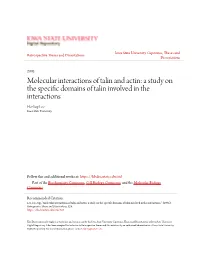 Molecular Interactions of Talin and Actin: a Study on the Specific Domains of Talin Involved in the Interactions Ho-Sup Lee Iowa State University