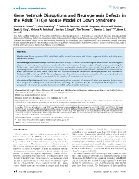 Gene Network Disruptions and Neurogenesis Defects in the Adult Ts1cje Mouse Model of Down Syndrome