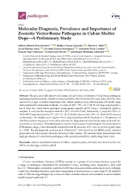 Molecular Diagnosis, Prevalence and Importance of Zoonotic Vector-Borne Pathogens in Cuban Shelter Dogs—A Preliminary Study