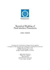 Numerical Modeling of Fluid Interface Phenomena
