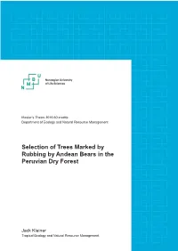 Selection of Trees Marked by Rubbing by Andean Bears in the Peruvian Dry Forest