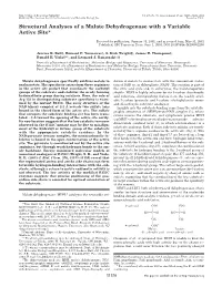 Structural Analysis of MDH with a Variable Active Site
