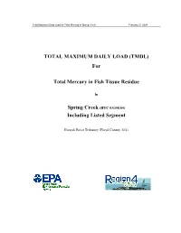 Total Maximum Daily Load (Tmdl) Development
