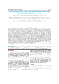 Canine Streptococcal Toxic Shock Syndrome Associated with Necrotizing Fasciitis: an Overview