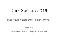 Theory and Visible Dark Photons Primer