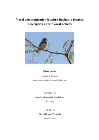 Vocal Communication in Zebra Finches: a Focused Description of Pair Vocal Activity