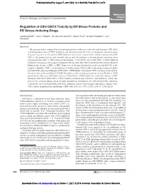 Full Text (PDF)