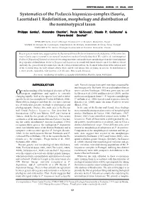 Systematics of the Podarcis Hispanicus-Complex (Sauria, Lacertidae) I: Redefinition, Morphology and Distribution of the Nominotypical Taxon