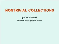 Nontrivial Collections