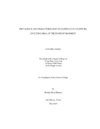 Prevalence and Characterization of Staphylococcus Species