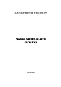 Common Border, Shared Problems