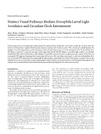 Distinct Visual Pathways Mediatedrosophilalarval Light