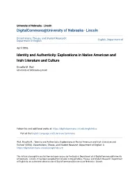 Identity and Authenticity: Explorations in Native American and Irish Literature and Culture
