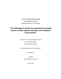 “The Interplay of Central and Peripheral Circadian Clocks in White Adipose Function and Metabolic Homeostasis”