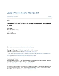 Distribution and Persistence of Phyllachora Species on Poaceae in Iowa