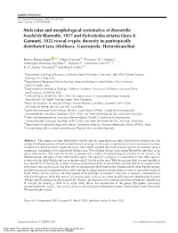 Molecular and Morphological Systematics of Bursatella