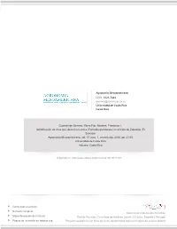 Redalyc.Identificación De Virus Que Afectan El Loroco (Fernaldia