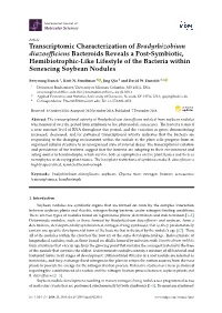 Transcriptomic Characterization of Bradyrhizobium Diazoefficiens