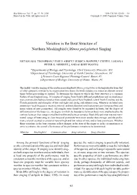 Variation in the Bout Structure of Northern Mockingbird (Mimus Polyglottus) Singing