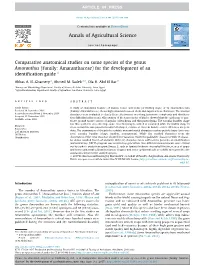 Comparative Anatomical Studies on Some Species of the Genus Amaranthus (Family: Amaranthaceae) for the Development of an Identiﬁcation Guide Q ⇑ Abbas A