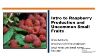Intro to Raspberry Production and Uncommon Small Fruits