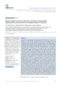 Metabarcoding for Bacterial Diversity Assessment: Looking Inside Didymosphenia Geminata Mats in Patagonian Aquatic Ecosystems