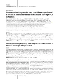 New Records of Leptospiraspp. in Wild Marsupials and a Rodent