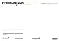 Ptero-Draw Activity Sheets 1.2MB .Pdf File