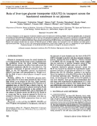 (GLUT2) in Transport Across the Basolateral Membrane in Rat Jejunum