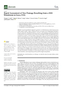 Rapid Assessment of Tree Damage Resulting from a 2020 Windstorm in Iowa, USA