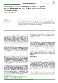 Rediscovery of &lt;I&gt;Aquilaria Rostrata&lt;/I&gt; (&lt;I&gt;Thymelaeaceae&lt;/I&gt;), a Species Thought to Be Extinct, and No